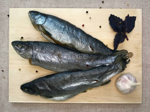 Рыцарское мясо говядины: Форель радужная вяленая